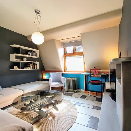 On The Terrace La Vida Joy Mansard Kitchen Apartment Belgrade