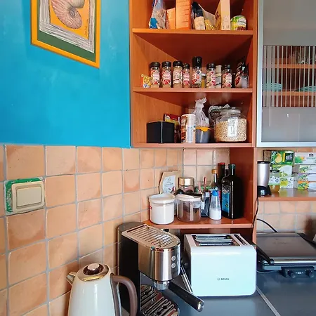 On The Terrace La Vida Joy Mansard Kitchen Διαμέρισμα Βελιγράδι